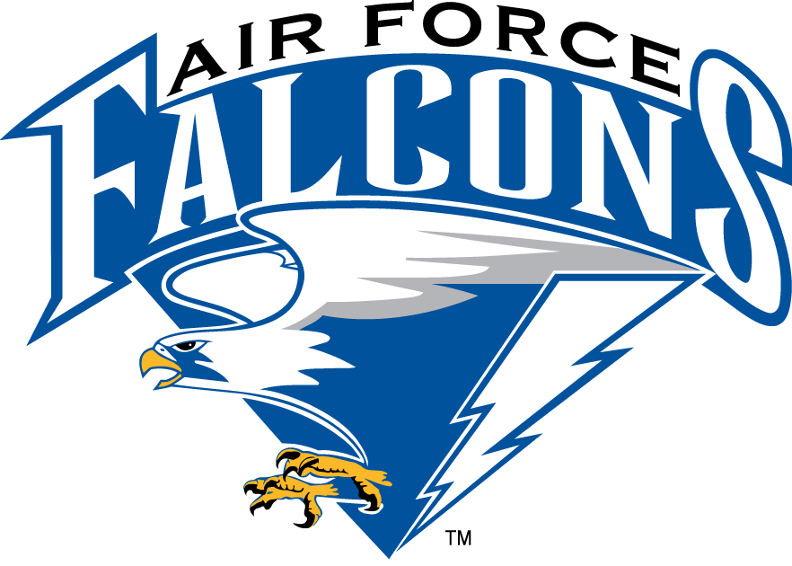 Air Force Falcons 1995-2003 Primary Logo iron on transfers for clothing